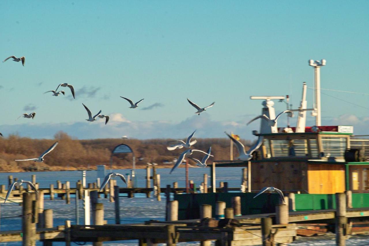 Fewo An Der Ostsee Nr. 2 レリク エクステリア 写真